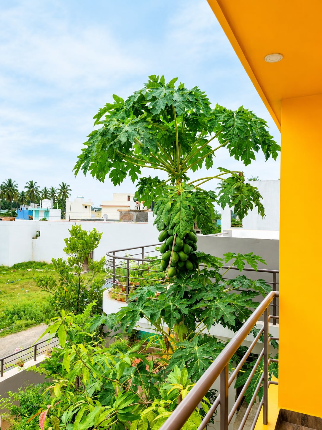 Ganesan Residence, Puducherry Border — photograph 2