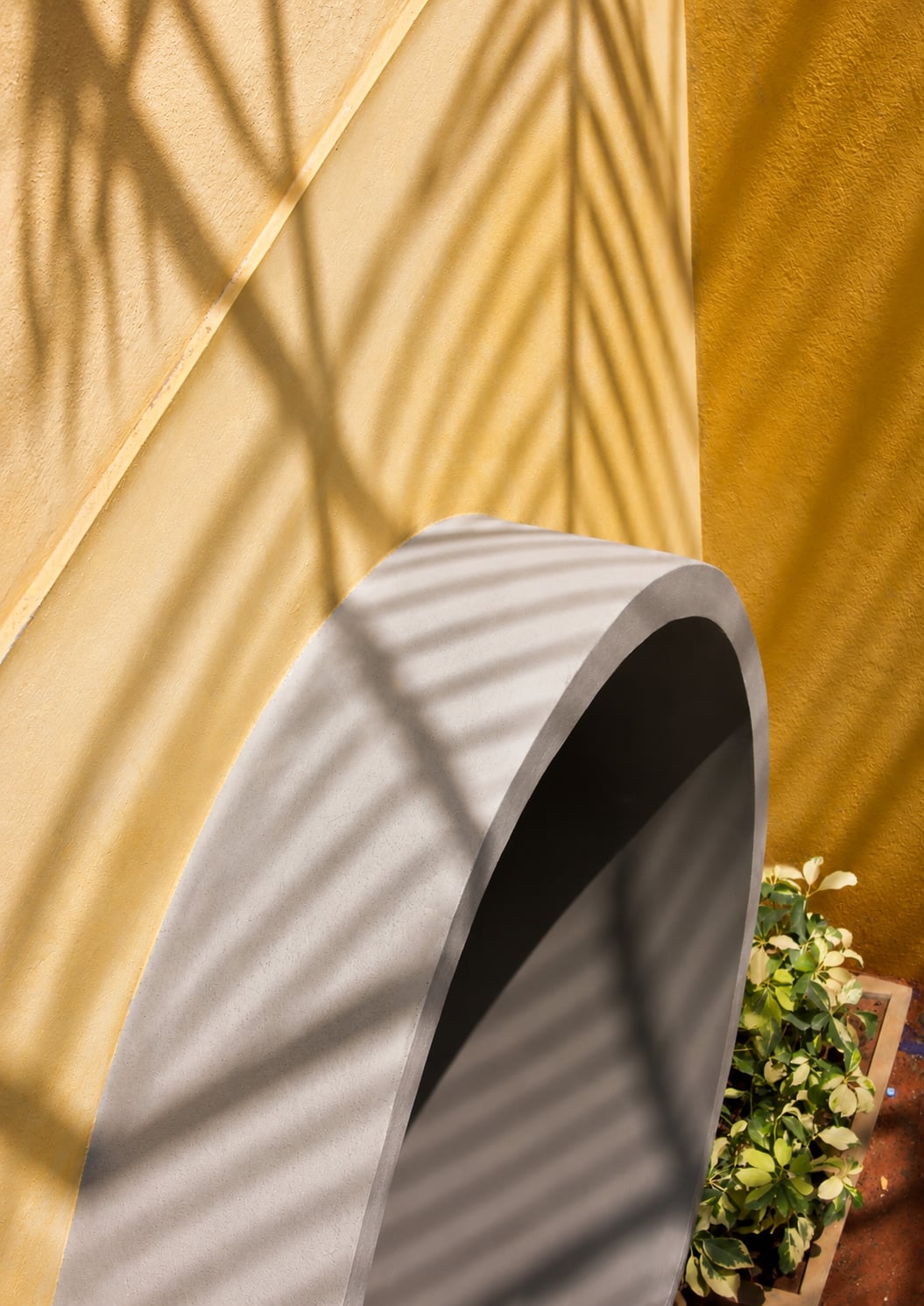 Resveen & Asif Residence — photograph 6